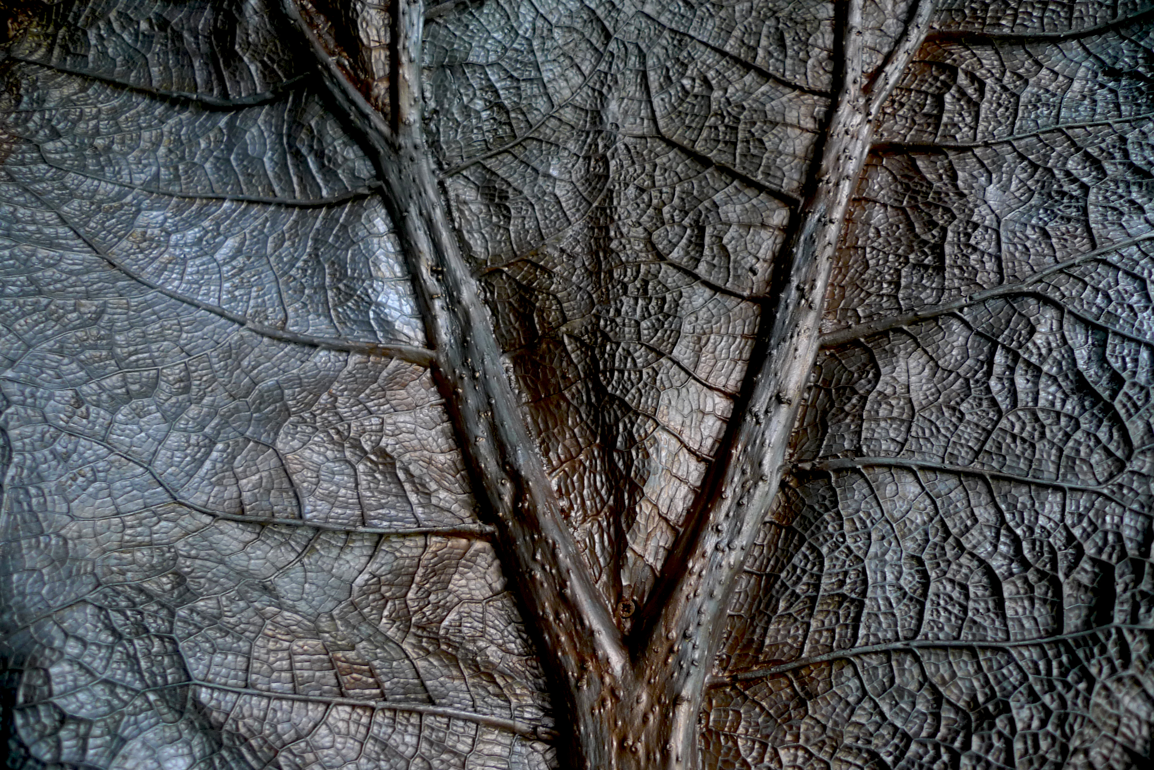 Muriel Taragano, Triste tropisme-Gunnera, détail, peinture pelliculaire acrylique moulée d'après nature,2020
